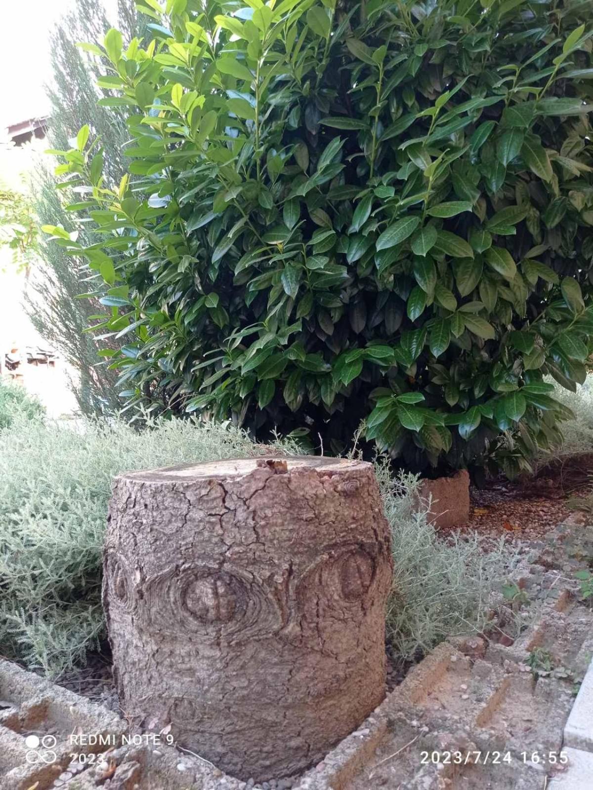 My Holiday Суботица Екстериор снимка